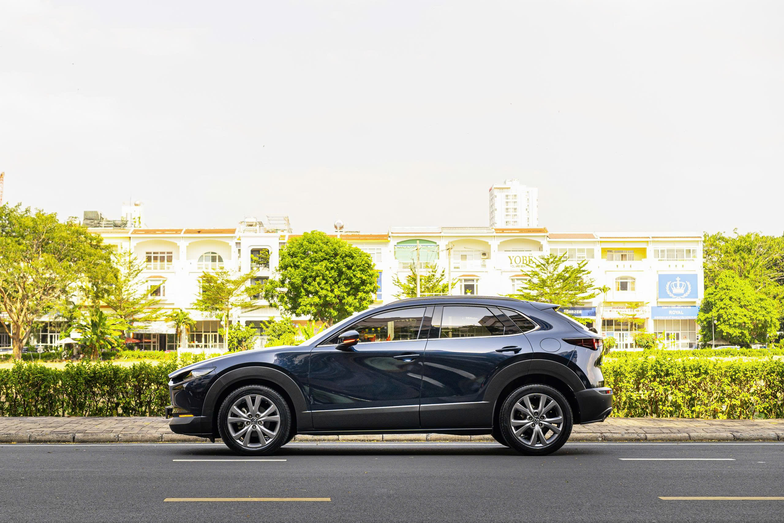 z7497284261250_82ed7ddec35cbc4ce5de9f70430967af