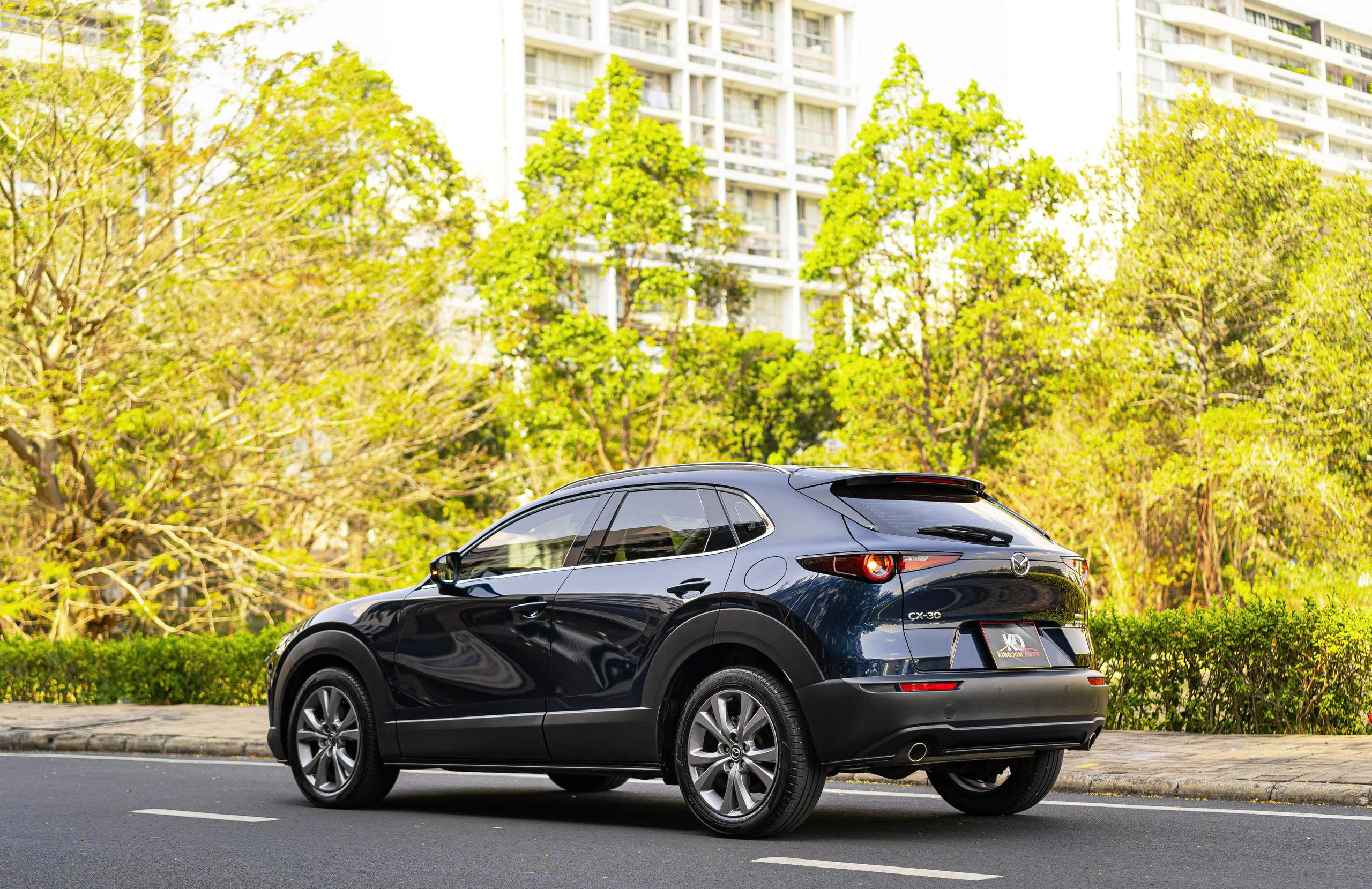 z7497284494958_e2688bf41db84cf84b15e296866224be